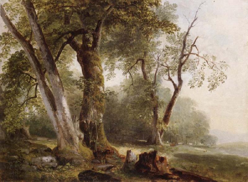 Asher Brown Durand Landscape with Beech Tree